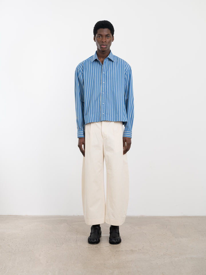 JAPANESE STRIPED SHIRTING DENNIS SHIRT